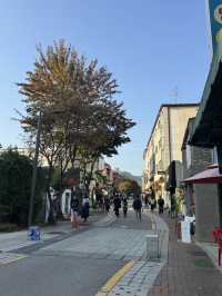 멋진 광화문을 배경으로 야외 독서데이트