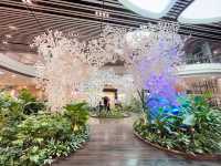 Award-winning international airport!