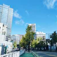 Seoul's Autumn Symphony: A Burst of Color