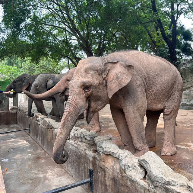 新山動物園：與野生動物近距離接觸 🦒🌿