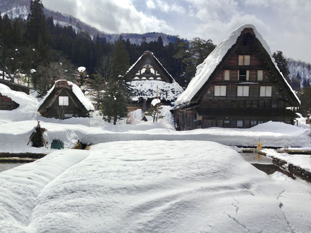 【岐阜県・白川】世界遺産 x 雪景色⛄️