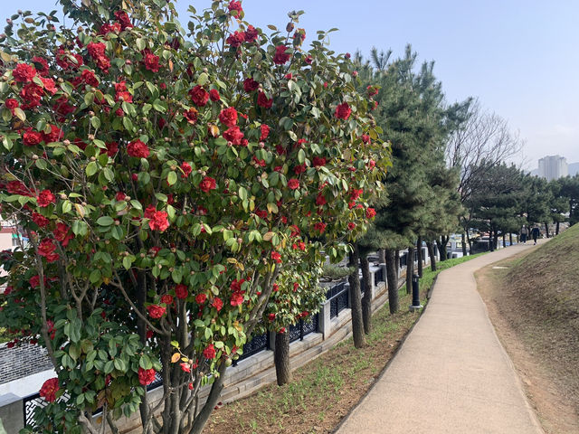  "역사의 숨결을 느낄 수 있는 동래읍성 여행"