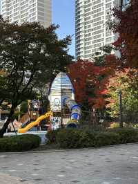 단지 중앙에 예쁜 단풍과 🌳 소담한 산책길을 경험할 수 있는 송파 공원 여행지 추천🍁