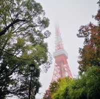 Sky-High Thrills and Picture-Perfect Moments at Tokyo Tower!