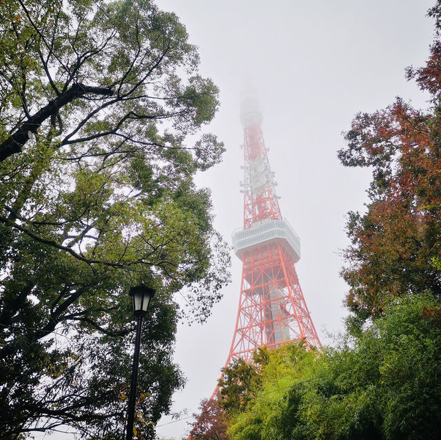 Sky-High Thrills and Picture-Perfect Moments at Tokyo Tower!