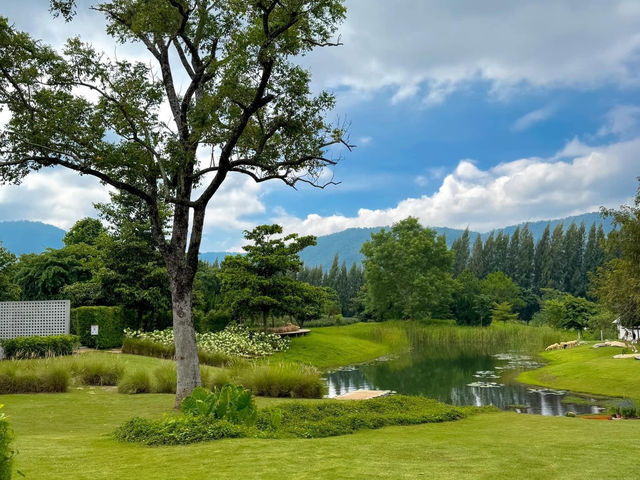 Bucolic Khaoyai 🎥🕹️