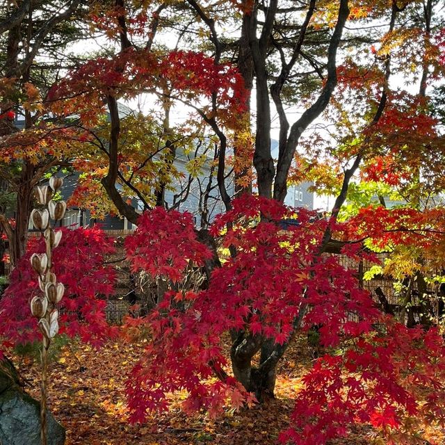 真鍋庭園に行きました！！