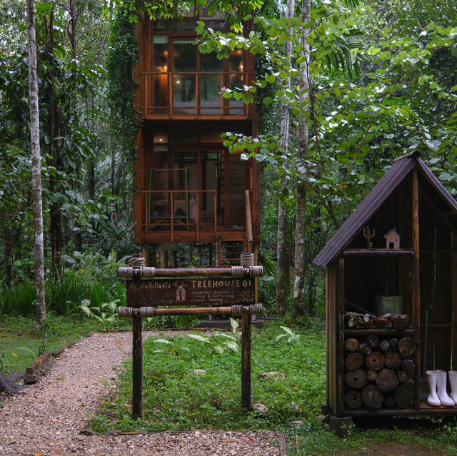 Mood ดี บรรยากาศสุดใจฟู 🏠🌴🍃