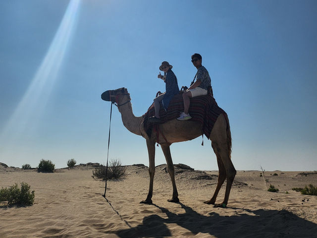 상상이 현실이 되는 알 와트바 사막 리조트🐫🏝️🏨