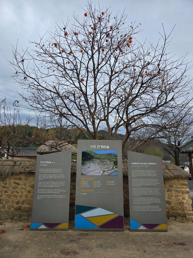 늦가을 즐기기좋은 만추의 성주 한옥마을💛