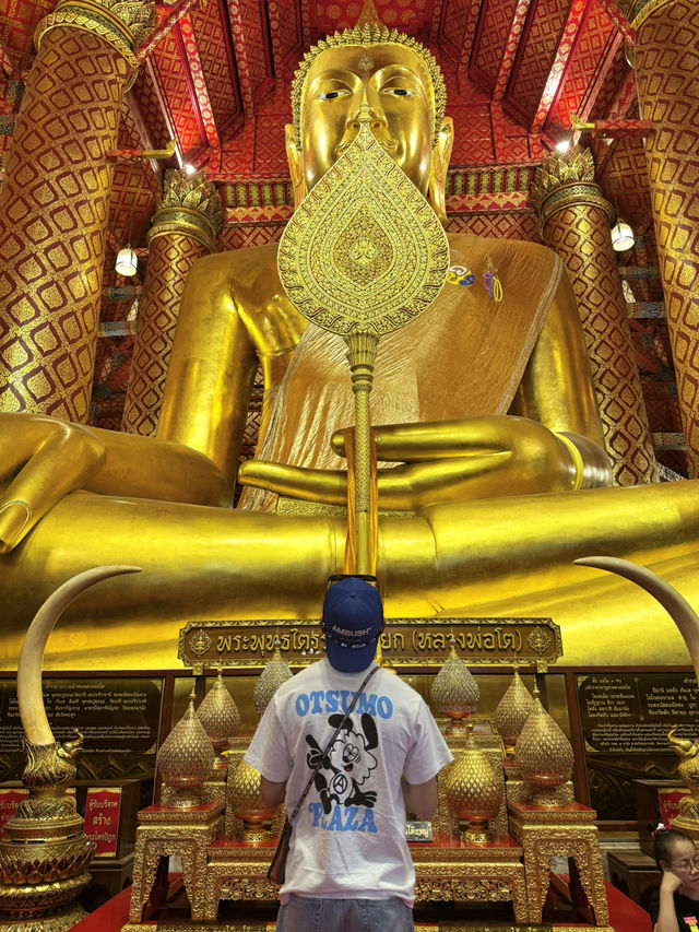 Bangkok❕Ayutthaya❕Phuket❕Phiphi Island❕