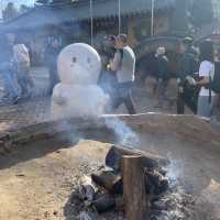 A Beautiful Escape: Nami Island Review