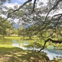 Beautiful Rain Town - Taiping, Malaysia