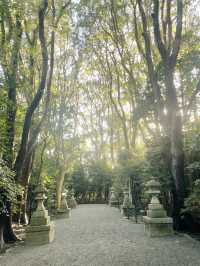 【神奈川県/鎌倉　生命力を感じる”大銀杏”の紅葉が美しい『鶴岡八幡宮』】