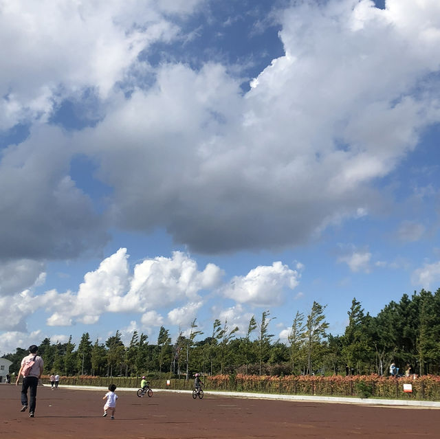 하늘이 너무 예뻤던 공원☁️