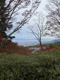 【福岡・久留米】久留米の街中を見下ろせる景色抜群の大社