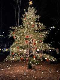 【軽井沢】キャンドルランタンの世界へ🕯おすすめクリスマスイルミネーション