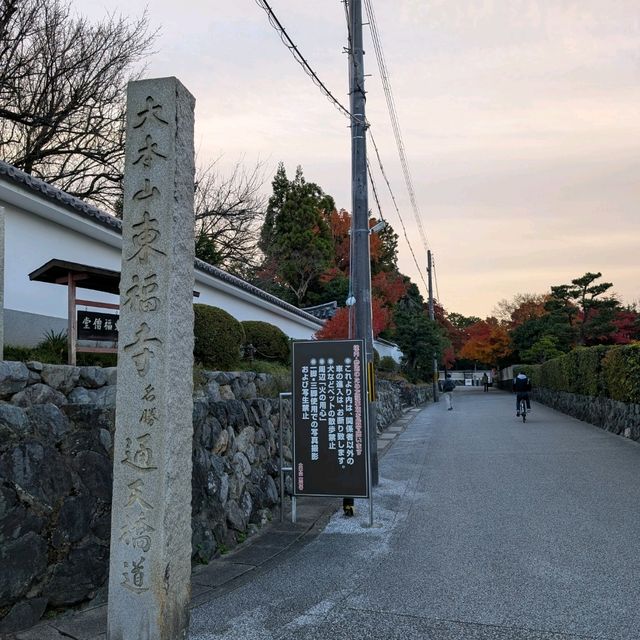 🇯🇵京都「東福寺」市區楓葉🍁頂流，楓葉之王威名當之無愧！