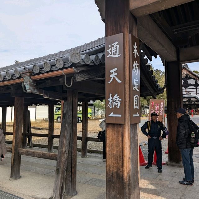 🇯🇵京都「東福寺」市區楓葉🍁頂流，楓葉之王威名當之無愧！