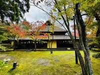 Autumnal vibes at Yufuin