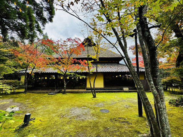 Autumnal vibes at Yufuin