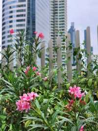 สวนเขียวกลางกรุงย่านสาทร