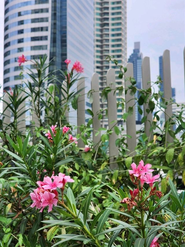 สวนเขียวกลางกรุงย่านสาทร