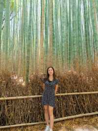 IG打卡竹林小徑🇯🇵🎋