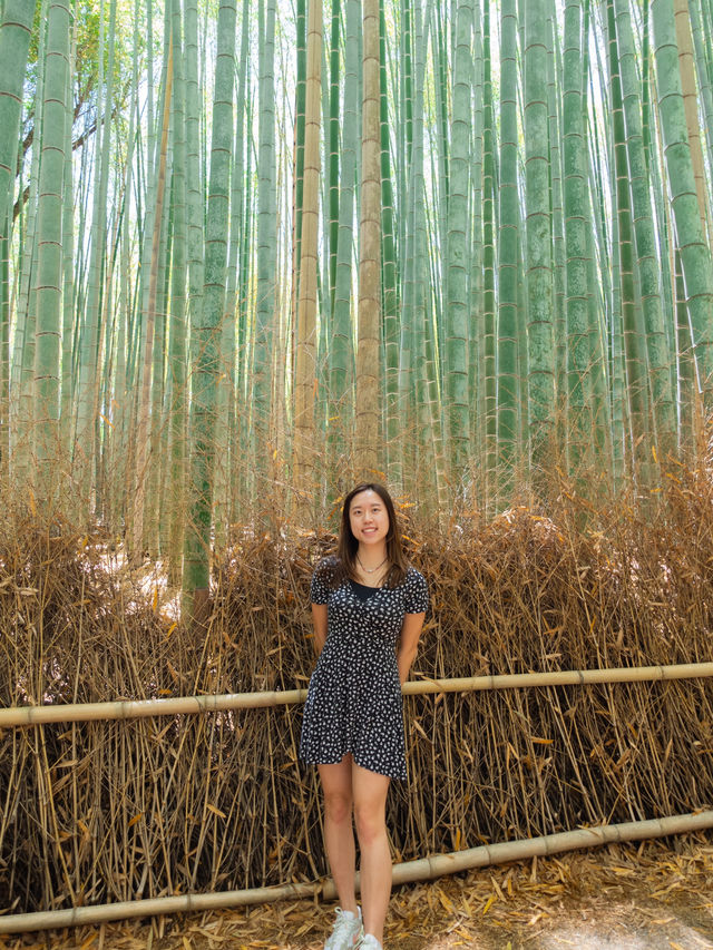 IG打卡竹林小徑🇯🇵🎋