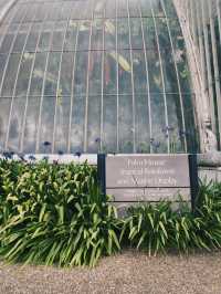 倫敦私藏綠洲 植物迷的天堂Kew Gardens