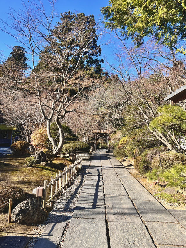 仙台松島円通院⛩️，靜謐的寺庙與美麗庭園