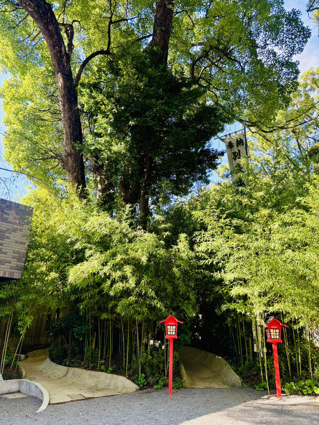 【日本伊東】來宮神社：日本能量景點，樹齡超過2000年的巨楠