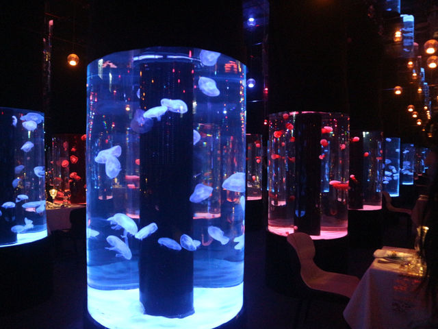 🪼Cube O BLU Dining🪼夢幻水母水族館餐廳