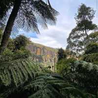 Blue Mountains National Park, New South Wales