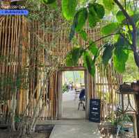 Over1199cafe' เที่ยวฮอดชิมกาแฟพื้นที่สูงกว่า1200