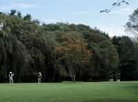 PART 2 | CHASING THE SEASONS ON NAMI ISLAND A DAY OF NATURAL BLISS
