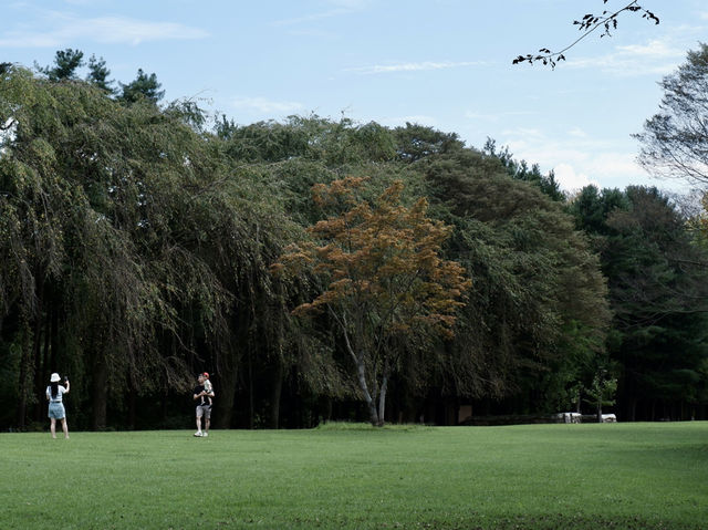 PART 2 | CHASING THE SEASONS ON NAMI ISLAND A DAY OF NATURAL BLISS