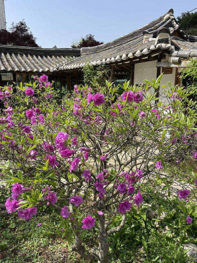 🖼️정말 그림속 한장면 같았던 양평 카페그림정원🌳