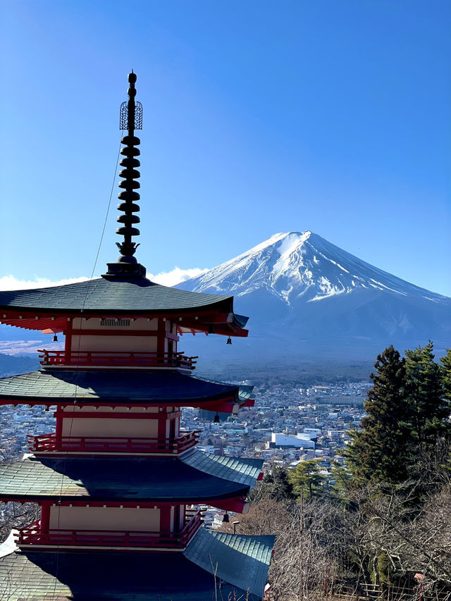 【山梨 冬の日帰り旅】富士山と五重塔の絶景 人気のスポット！