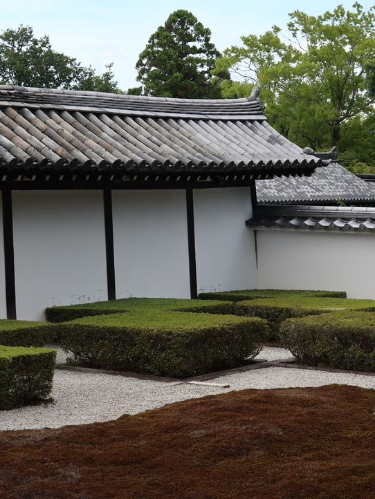 Serenity in Every Step: Exploring Tofuku-ji Temple