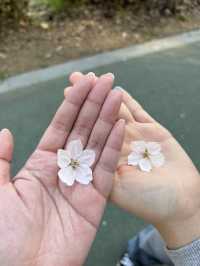 สวนสาธารณะยางแจชอน