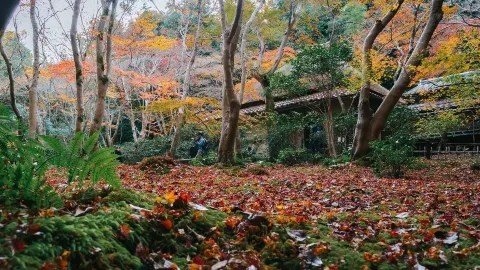 祗寺 — traveler post in 野洲市