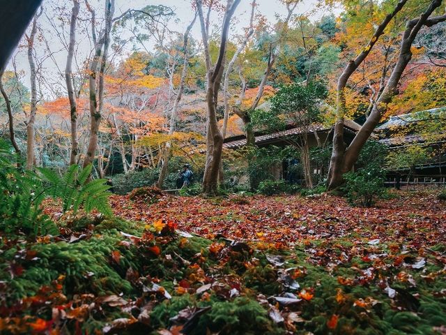 วัดกิโอจิ(Gio-ji Temple)