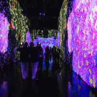 teamLab Borderless: