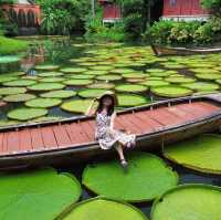 普吉島網美咖啡廳~ Ma Doo Bua Phuket