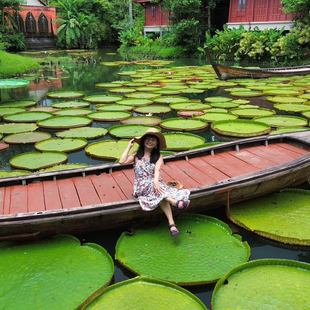 普吉島網美咖啡廳~ Ma Doo Bua Phuket