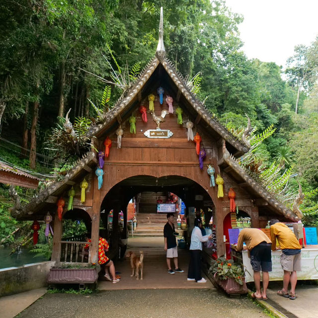 ⛰️💫 เที่ยวเชียงดาว 2 วัน 1 คืน วิวภูเขาสุดจึ้งงงง