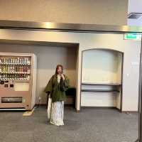 Shoji Mount Hotel