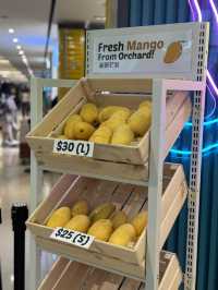 健康養生芒果主題飲品店@mango madness