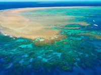 Great Barrier Reef, 🇦🇺 